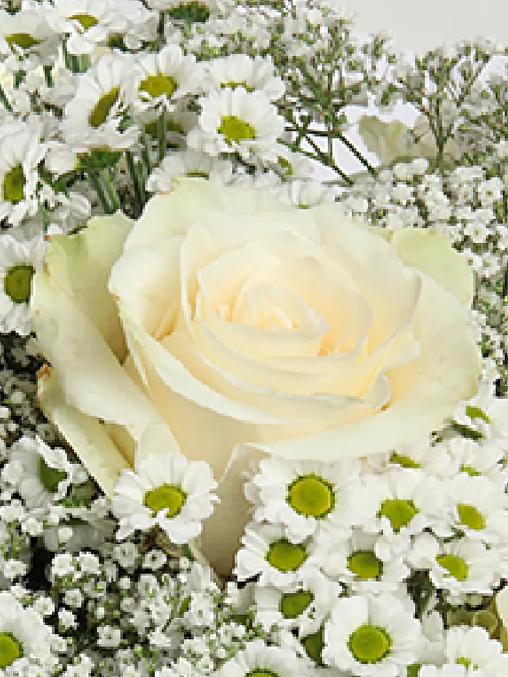 Bouquet rose bianche e camomilla macro